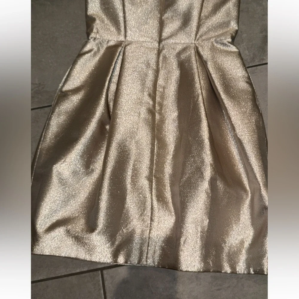 White House Black Market Champagne Glitter Cocktail Holiday NYE Dress Size 2 - Picture 5 of 15